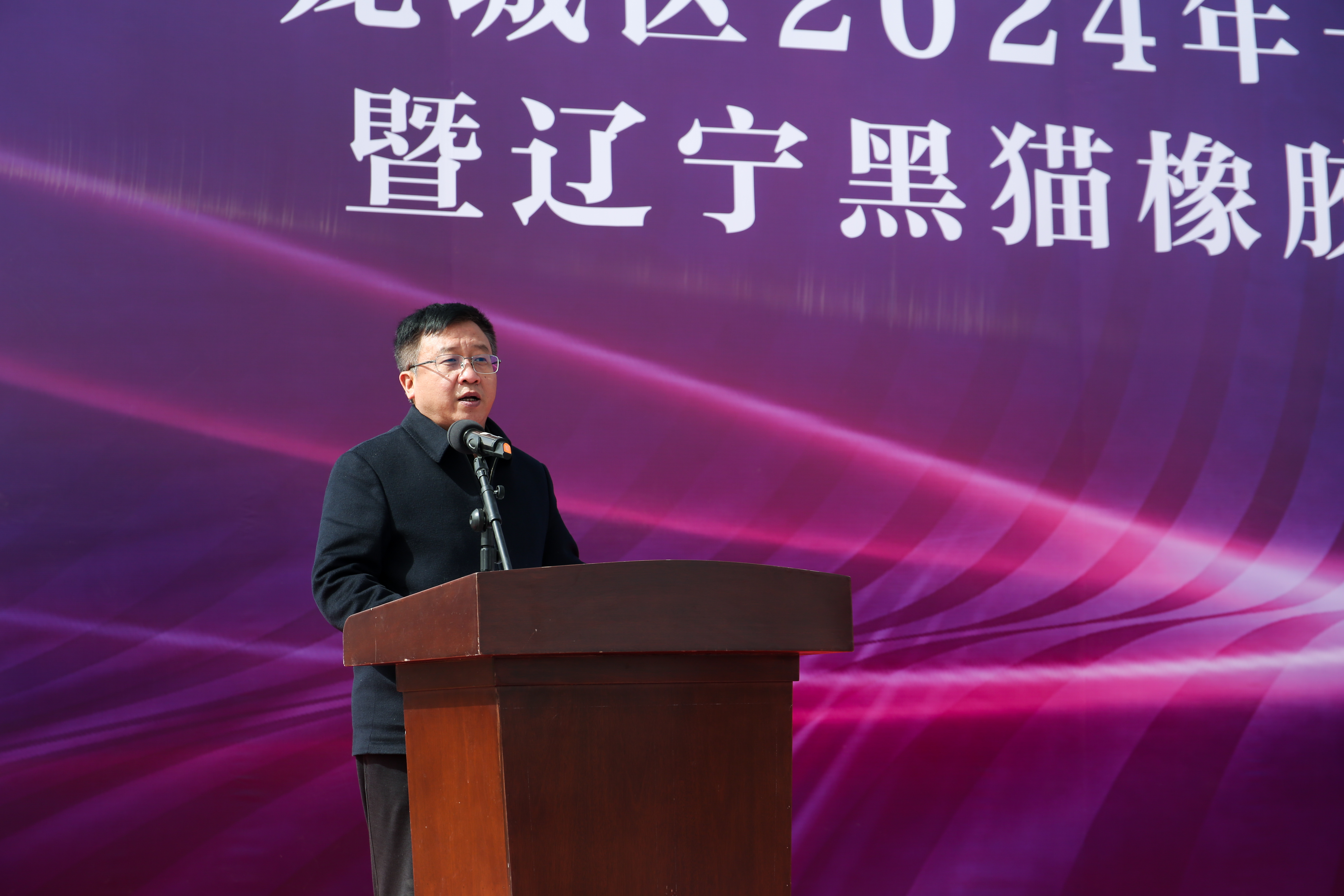 3 景德鎮(zhèn)黑貓集團黨委書記、董事長 汪羽致辭.png