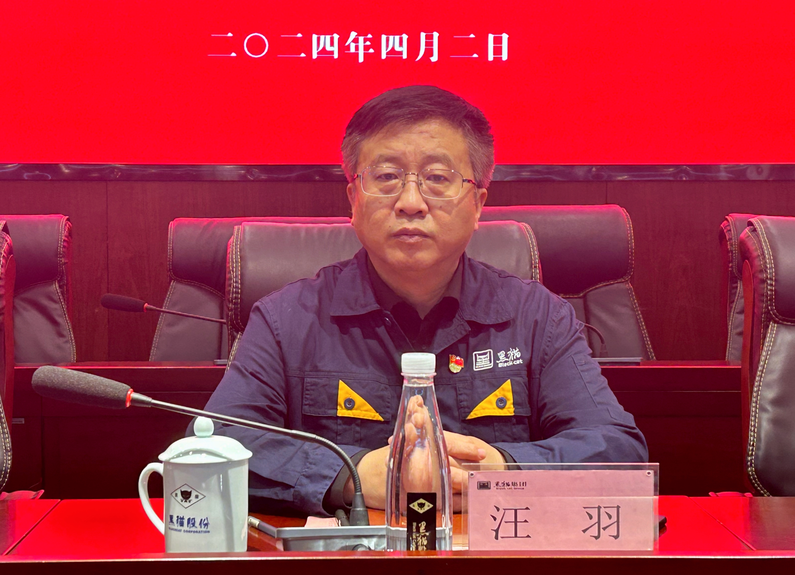 2 黑貓集團(tuán)黨委書(shū)記、董事長(zhǎng)汪羽作講話.jpg