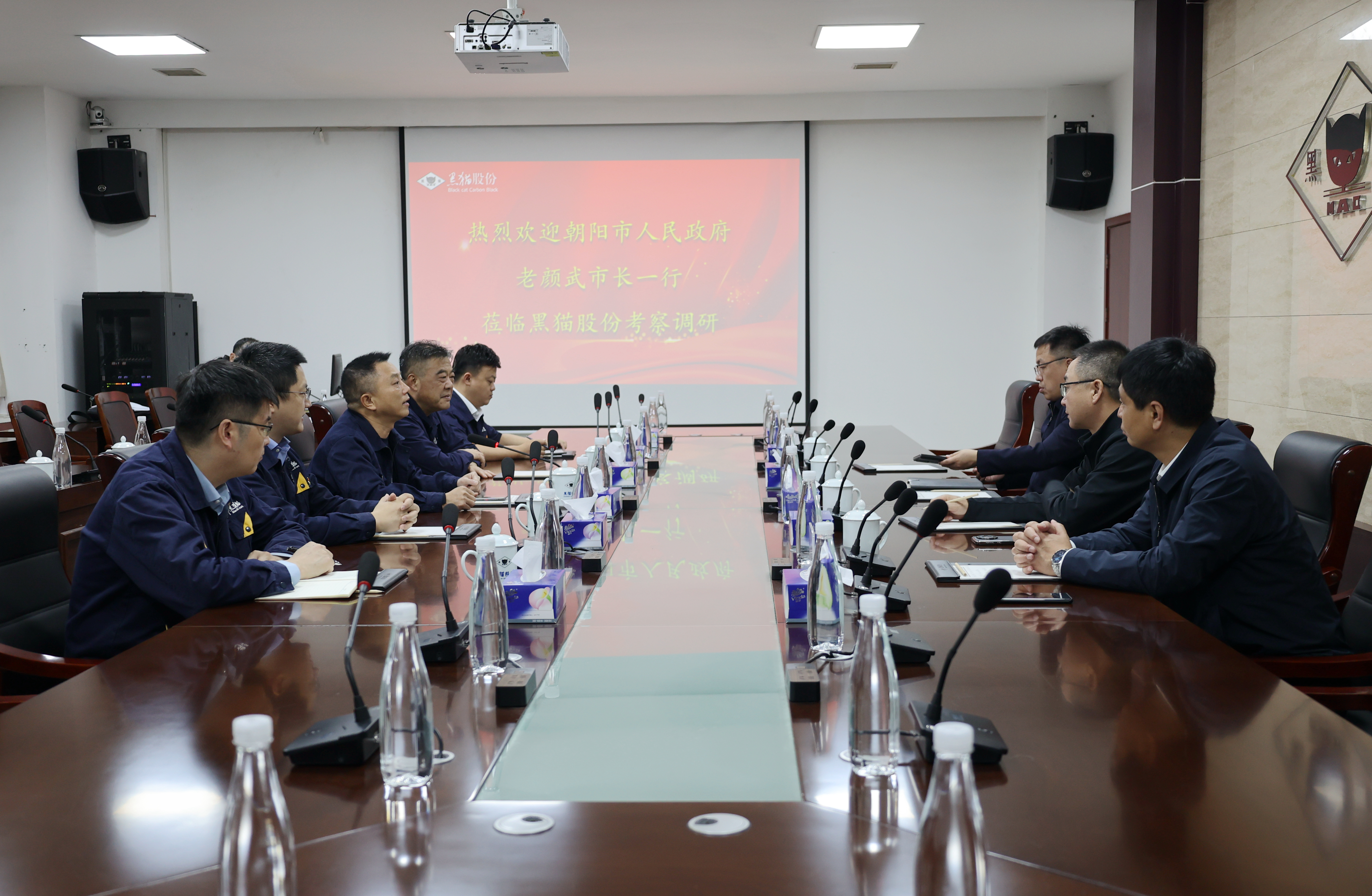 老顏武一行到黑貓股份調(diào)研指導(dǎo)